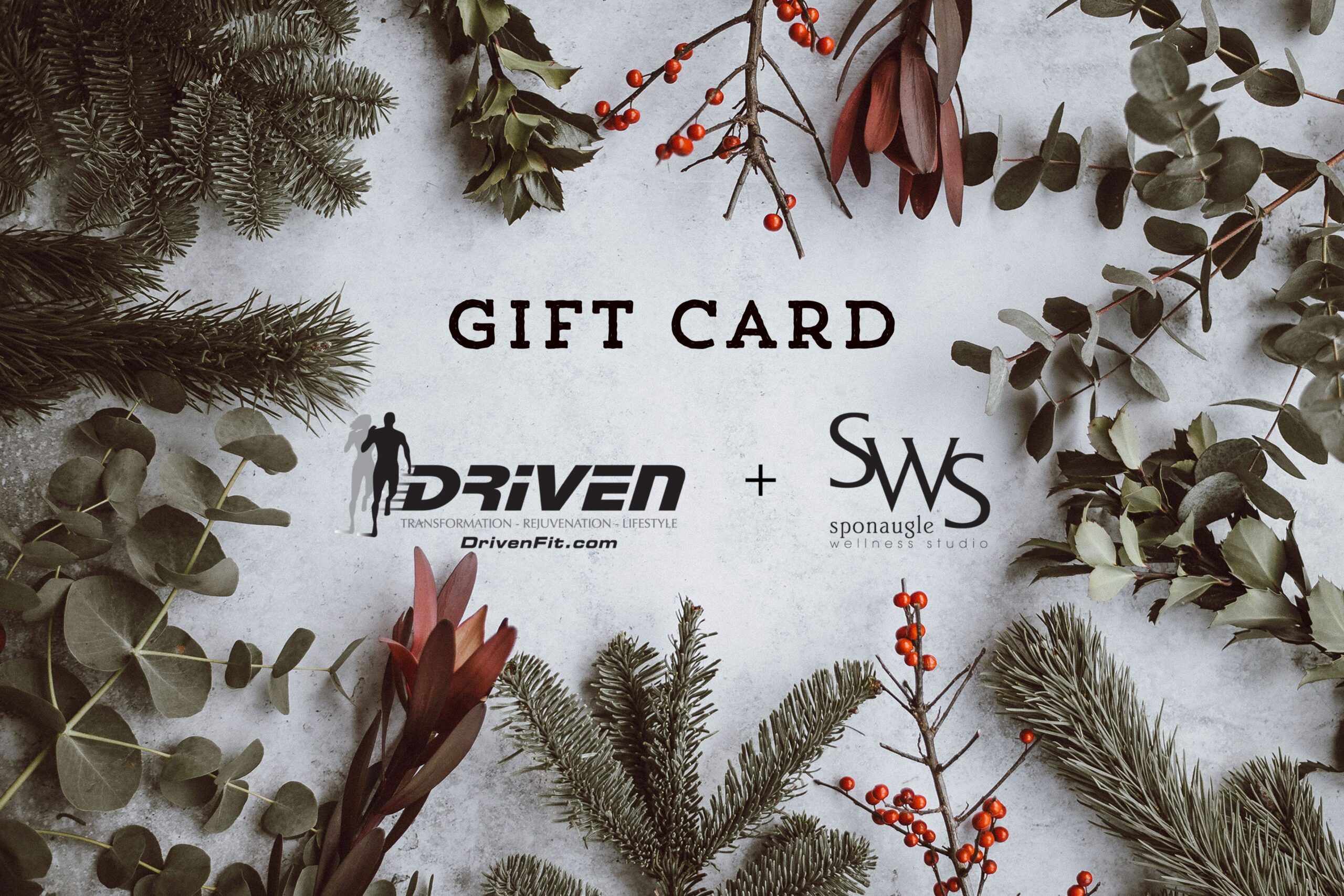 Wellness Gift Card Driven Fit South Tampa Gym