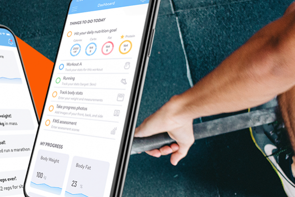 virtual training online personal trainer tampa fl